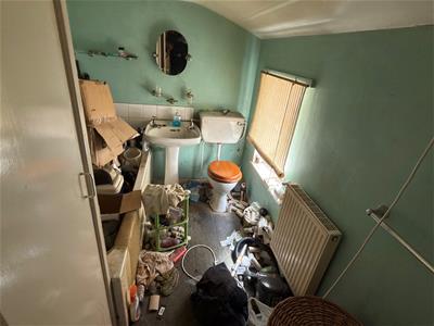 Picture 7